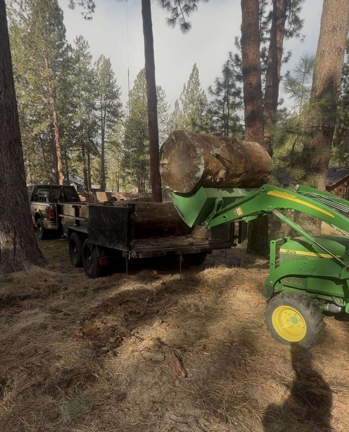 Tractor loading heavy logs into trailer for yard debris hauling and property cleanup